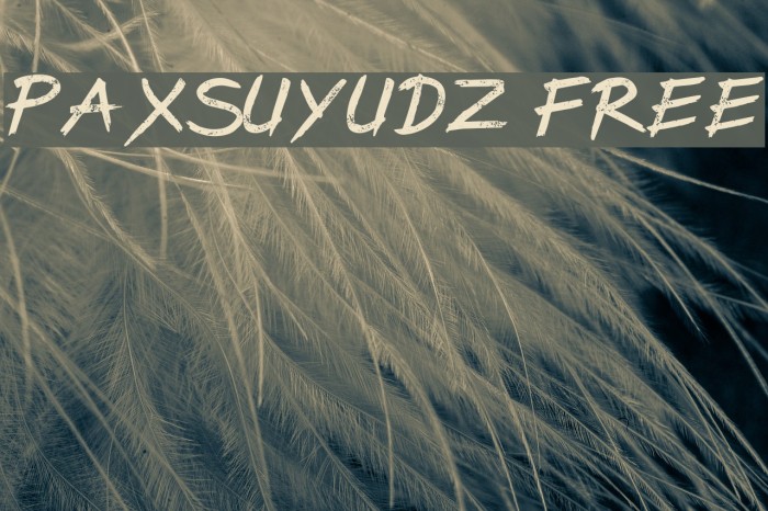 PaxSuyudz Free Font examples