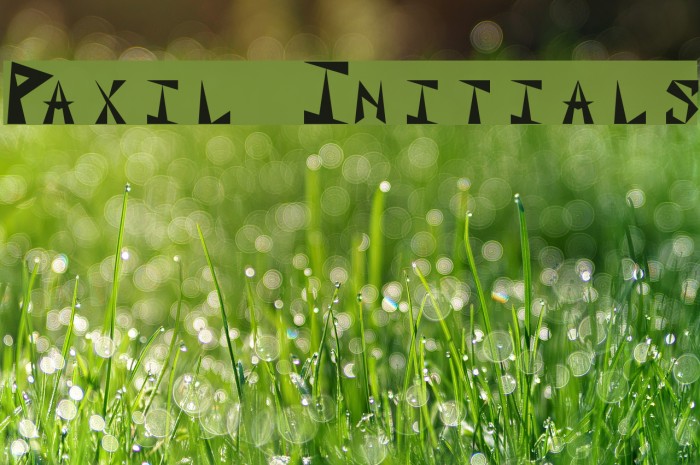 Paxil Initials Font examples