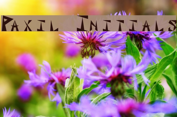 Paxil Initials Font examples