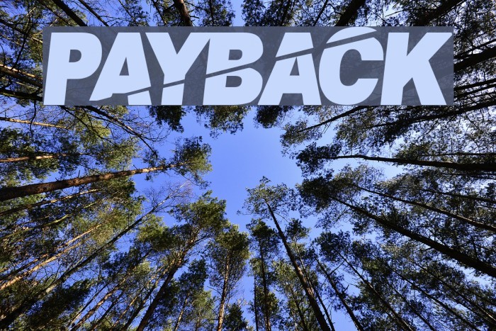 PaybAck Font examples