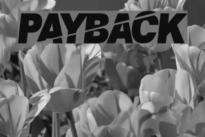 PaybAck Font examples