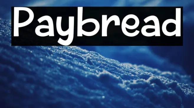 Paybread Example 1