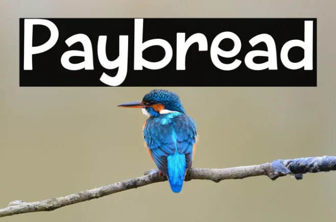 Paybread Example 2