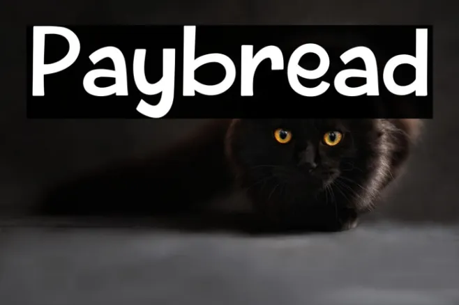 Paybread Example 3