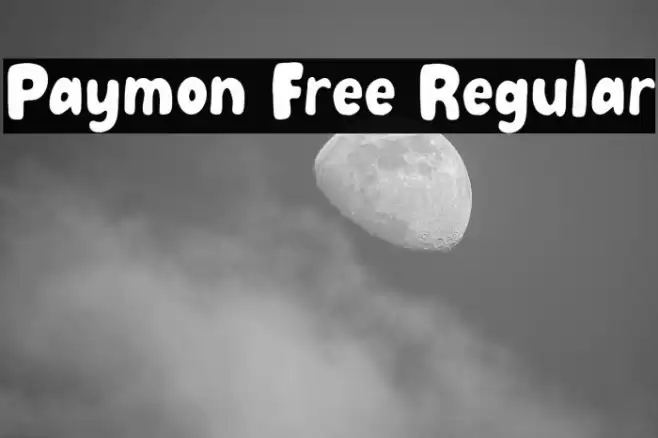 Paymon Free Regular Font examples