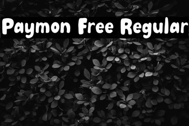 Paymon Free Regular Font examples