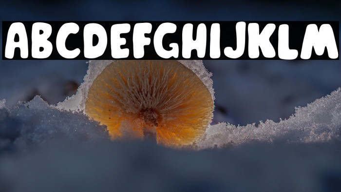 PaymonFree-Regular Example 1