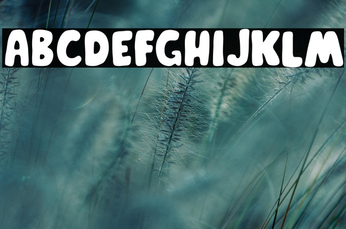 PaymonFree-Regular Example 3