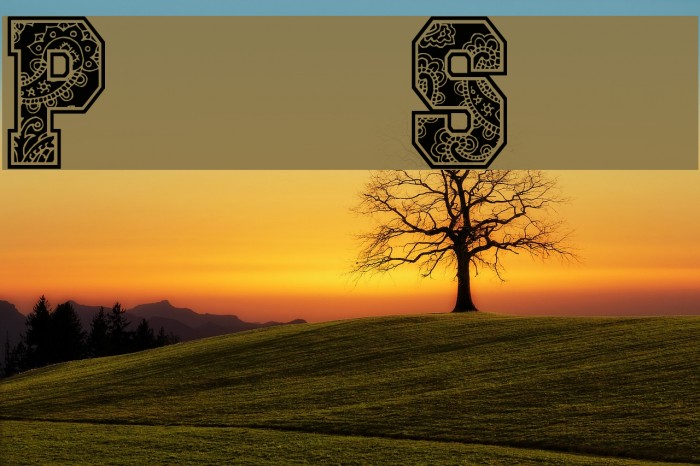 Paysley Sports Font examples
