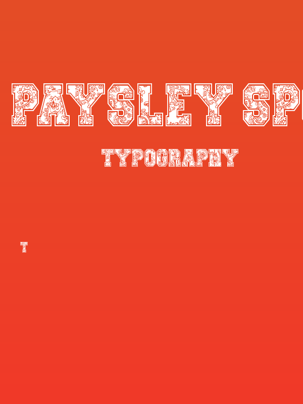Paysley Sports Poster