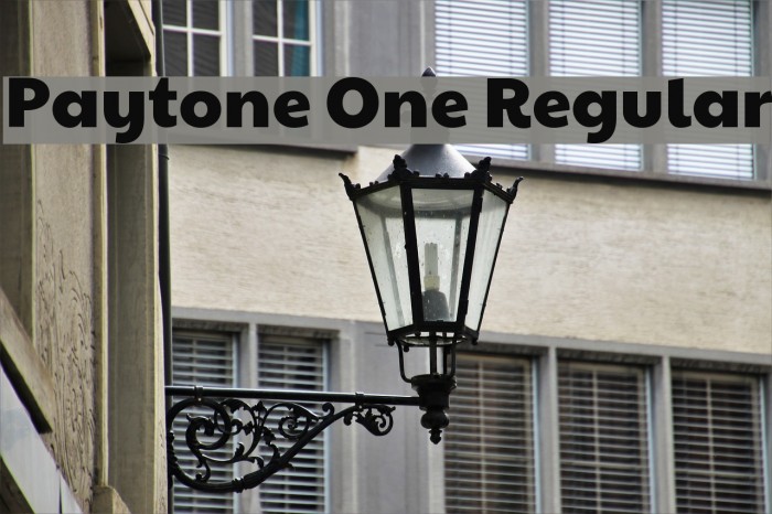 Paytone One Regular Font examples