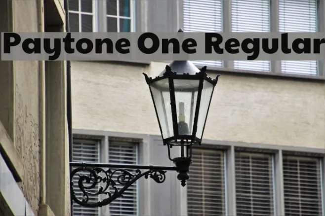Paytone One Regular Example 1