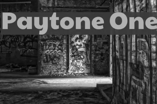 Paytone One Font examples