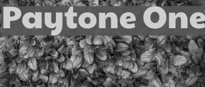 Paytone One Font examples