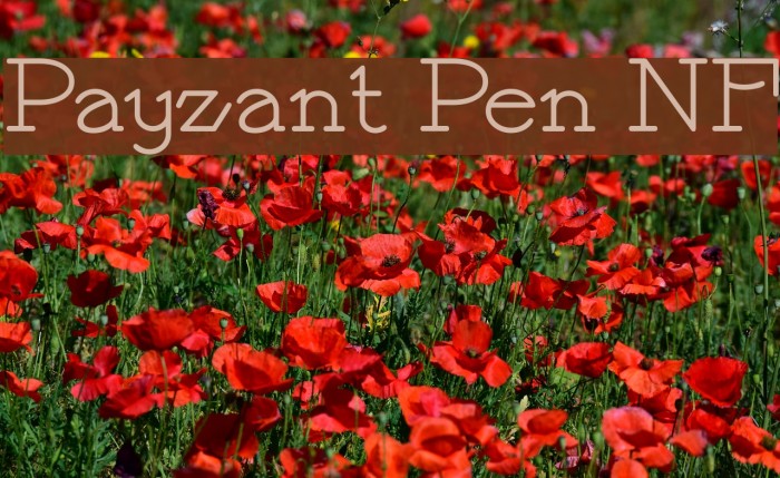 Payzant Pen NF Font examples