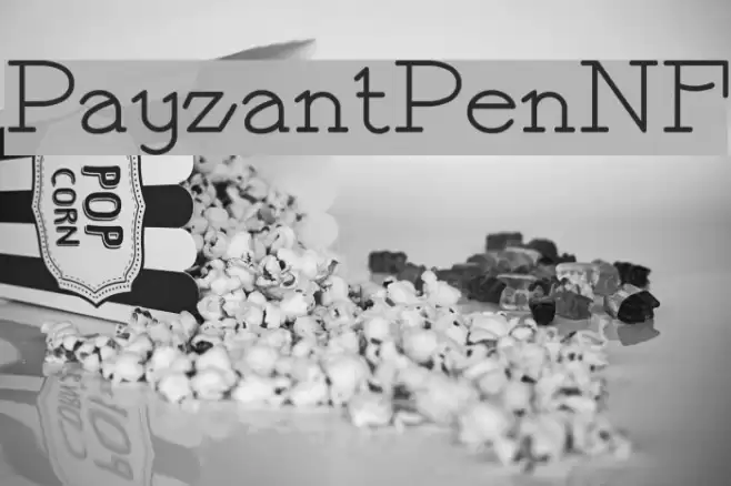 PayzantPenNF Font examples