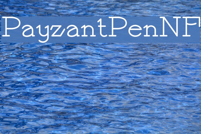 PayzantPenNF Font examples