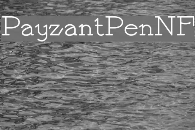 PayzantPenNF Font examples