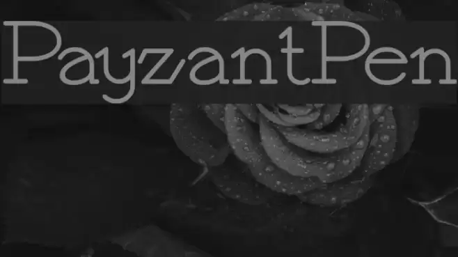 PayzantPen Font examples