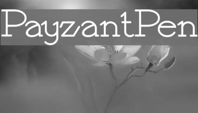 PayzantPen Font examples