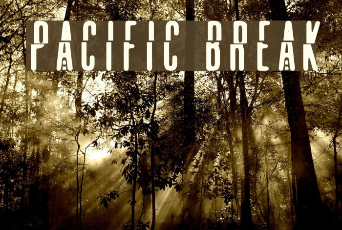 pacific break Font examples