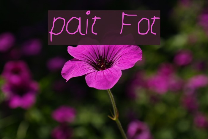 paint Font examples
