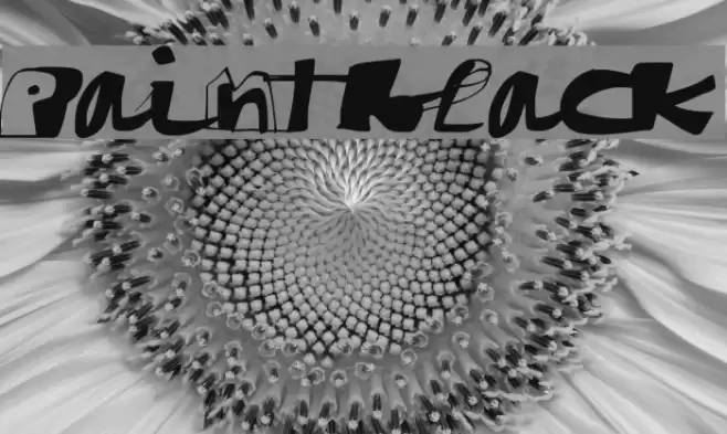 paintblack Font examples