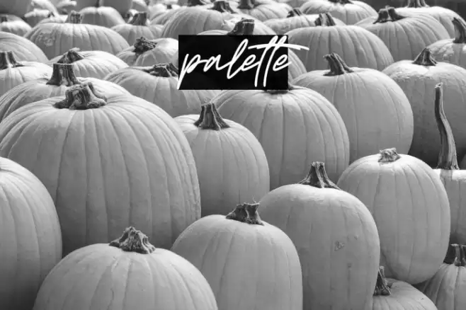 palette Caratteri examples