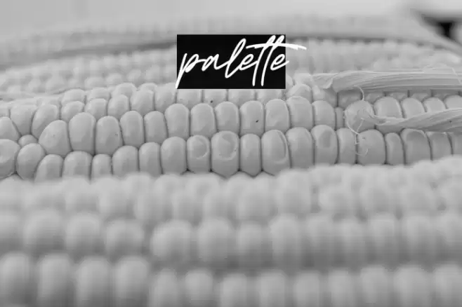 palette Caratteri examples