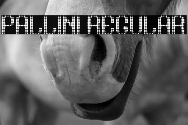 pallini Regular Font examples