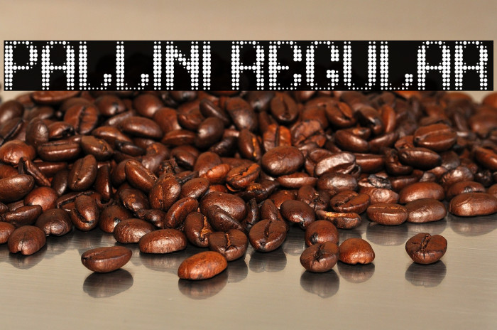 pallini Regular Example 3