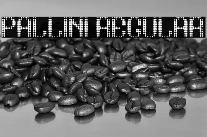pallini Regular Font examples