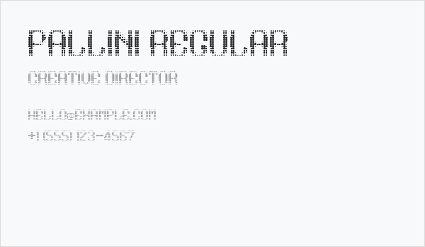 pallini Regular Business Card