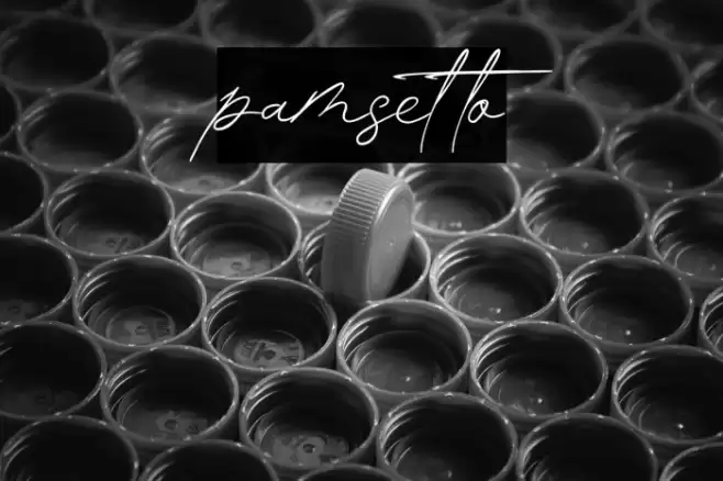 pamsetto Font examples