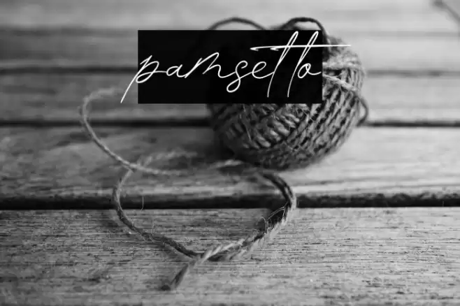 pamsetto Font examples