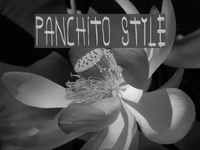 panchito style Font examples