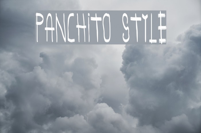 panchito style Example 2