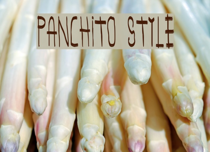 panchito style Example 3