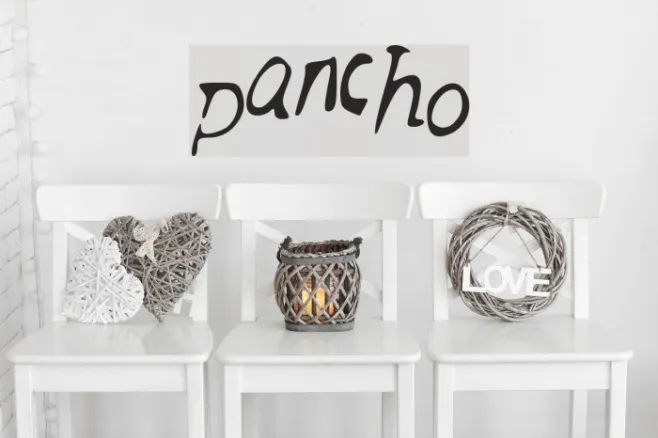 pancho Example 1