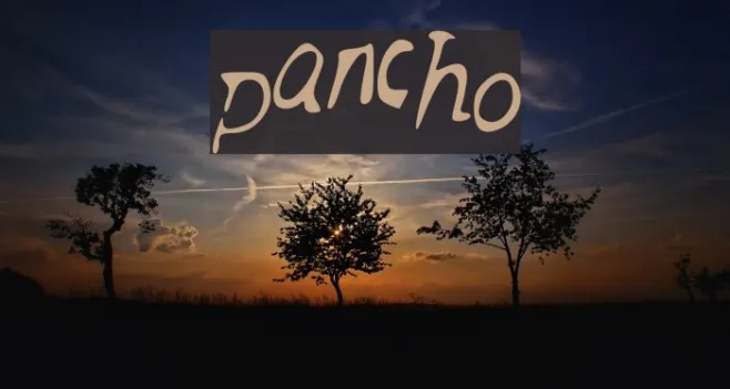 pancho Example 2