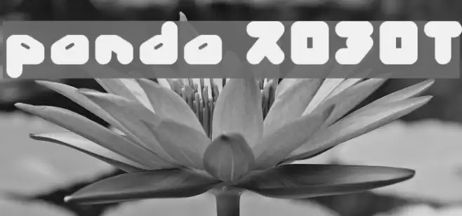 panda ROBOT Font examples