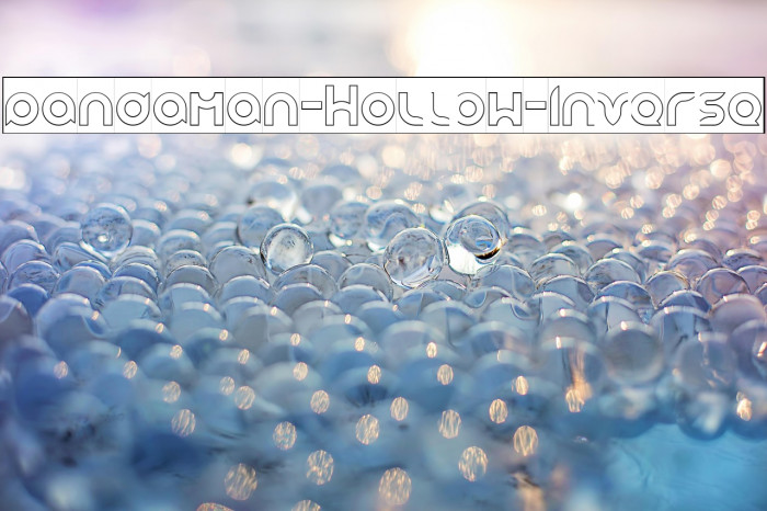 pandaman-Hollow-Inverse Example 1