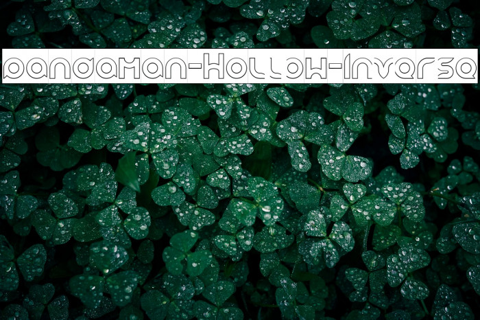 pandaman-Hollow-Inverse Example 2