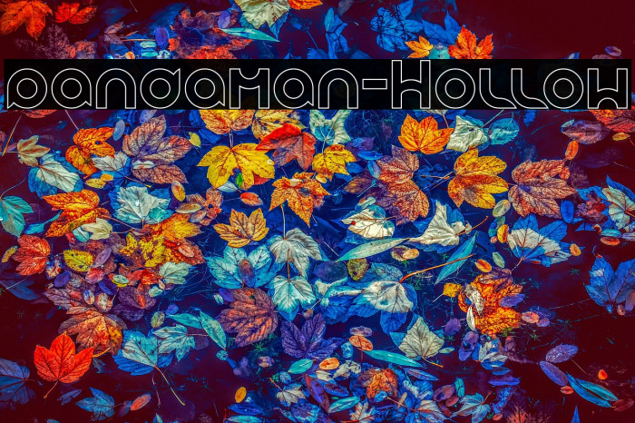 pandaman-Hollow Example 2