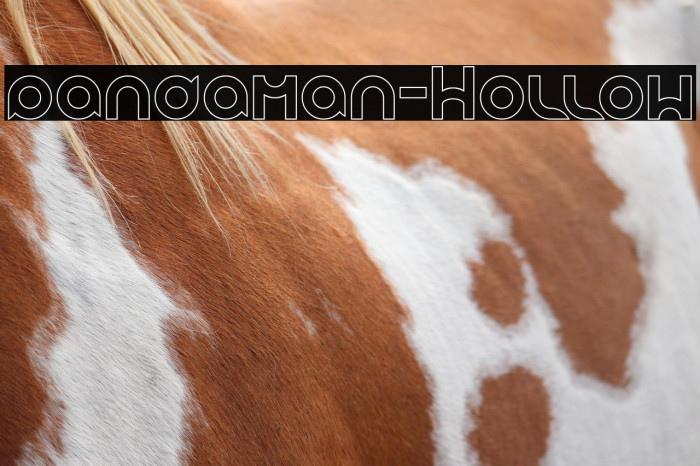 pandaman-Hollow Example 3