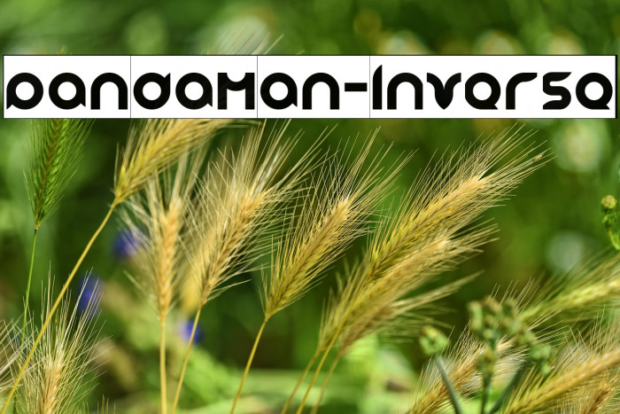 pandaman-Inverse Example 1