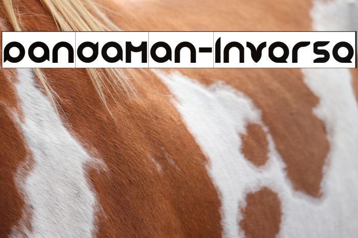 pandaman-Inverse Example 3