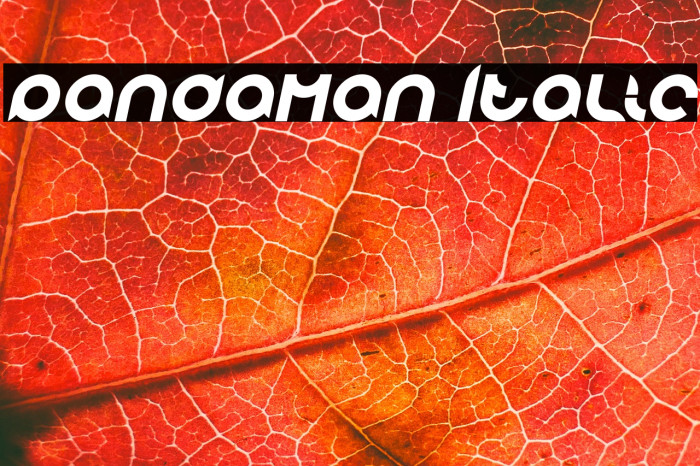 pandaman Italic Example 2