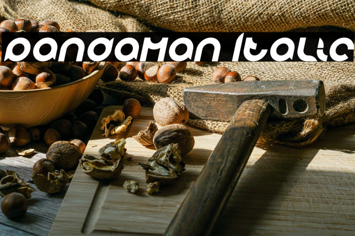 pandaman Italic Example 3