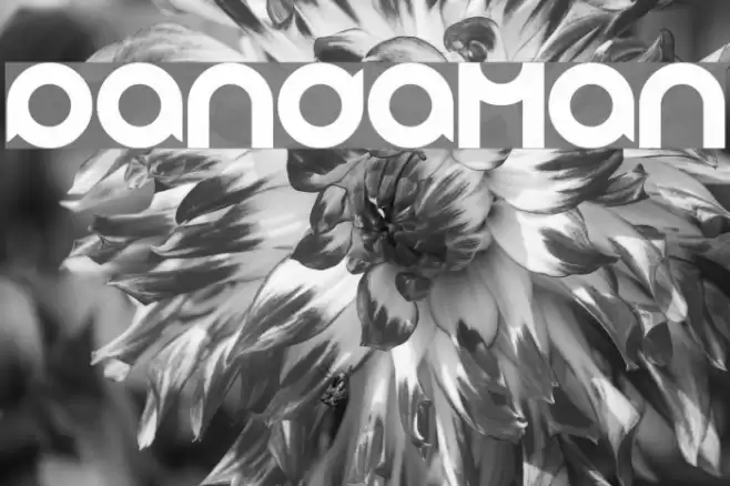 pandaman Font examples